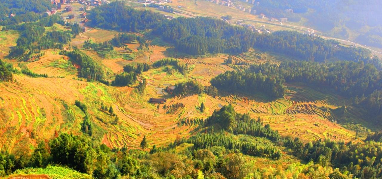 我坚持每日一善，感动了多少陌生人？-般若资源分享网